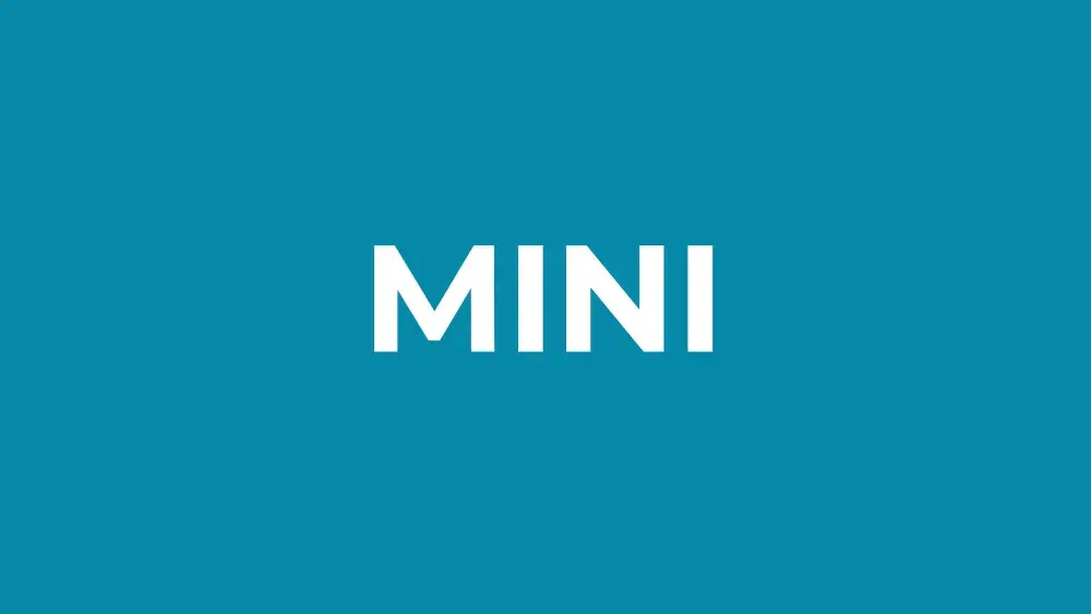 Mini