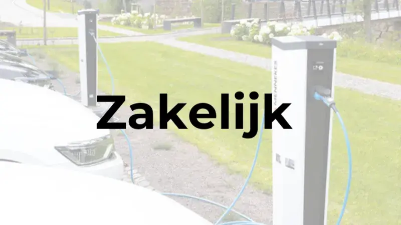 Zakelijk 